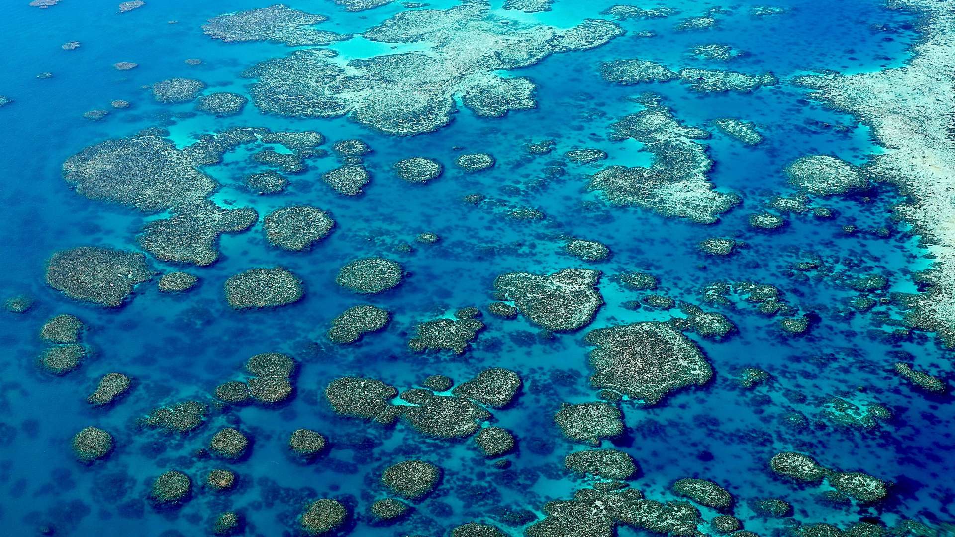Whitsunday Region