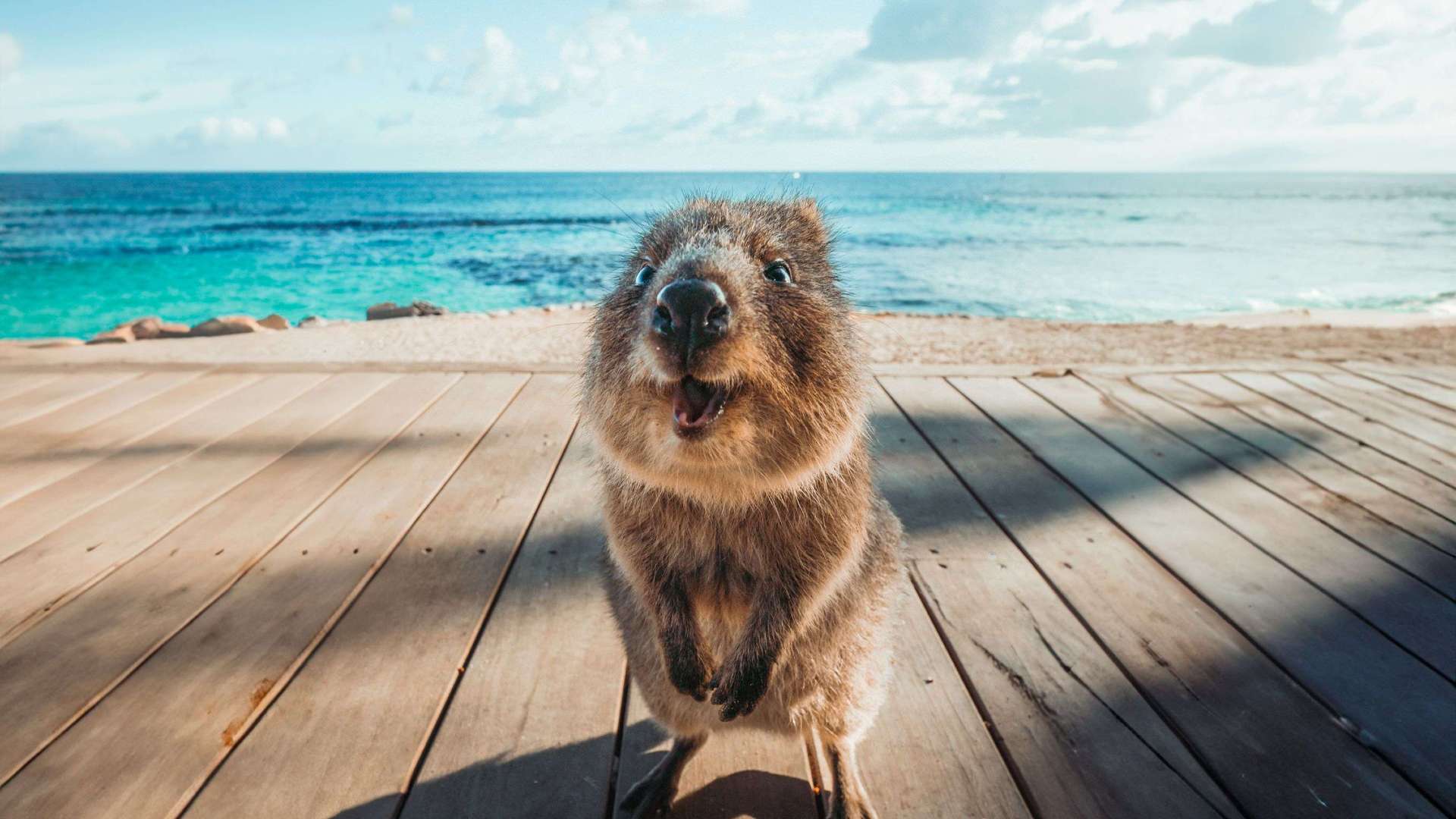 Destination Perth