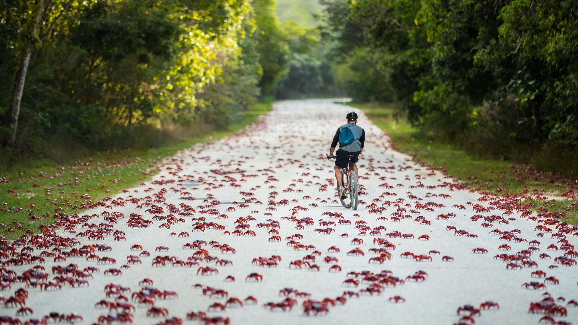Christmas Island