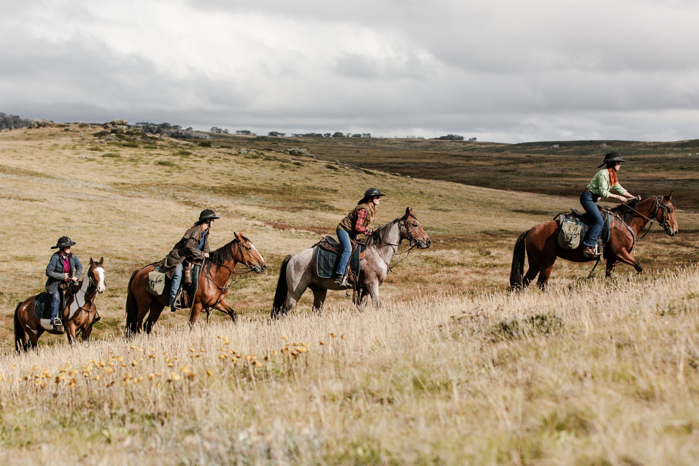 High Country