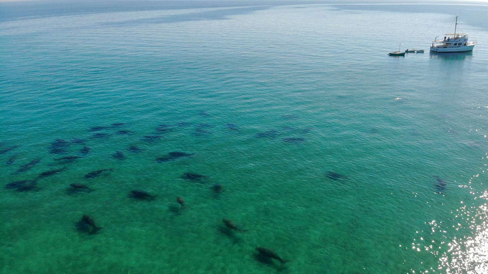 Moreton Bay Area
