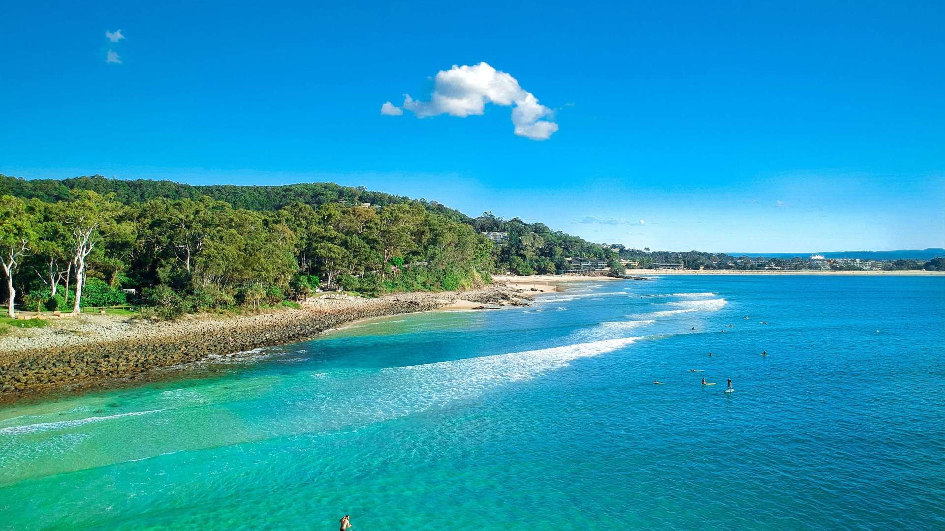 Noosa Area