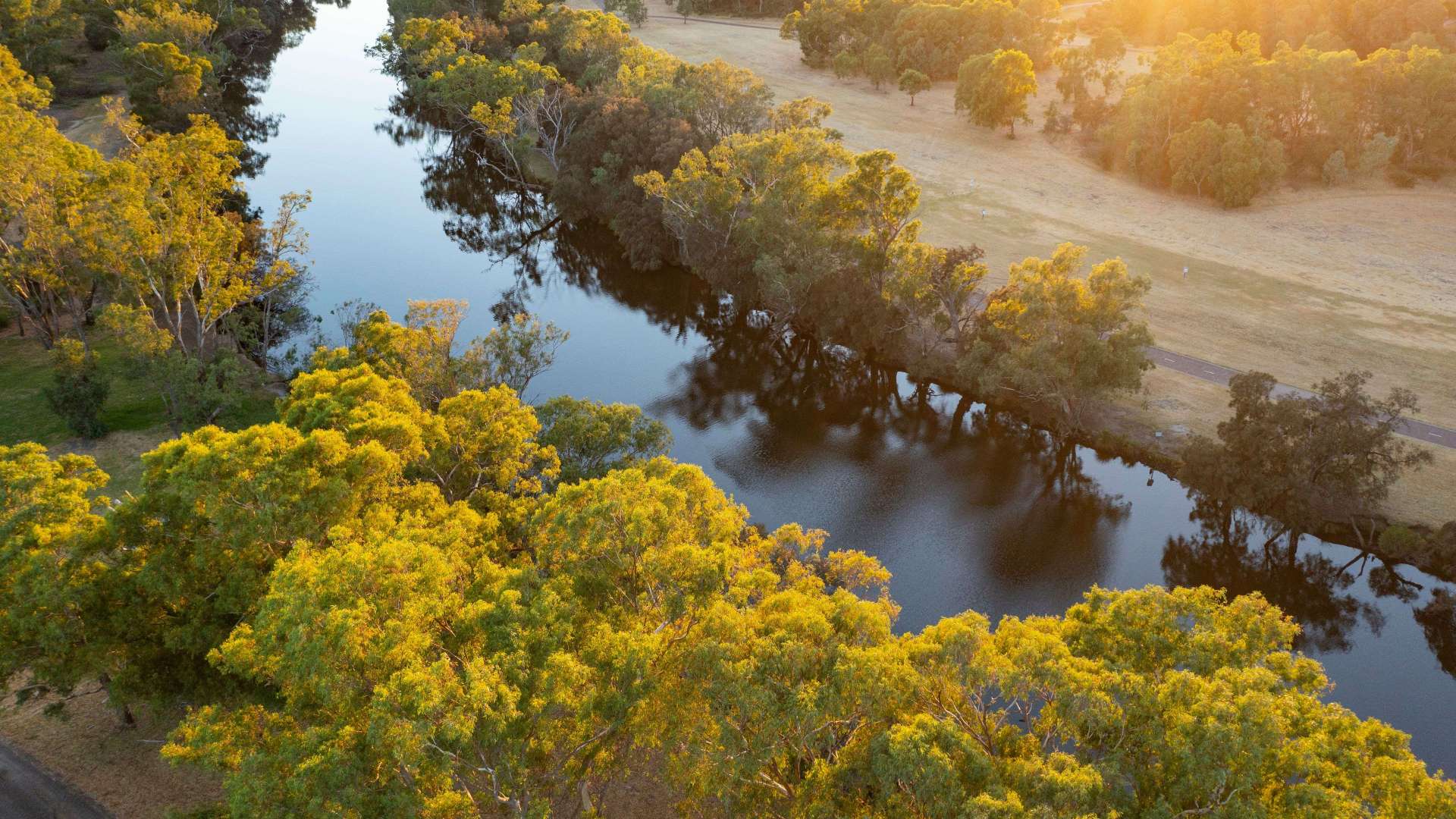 Swan Valley