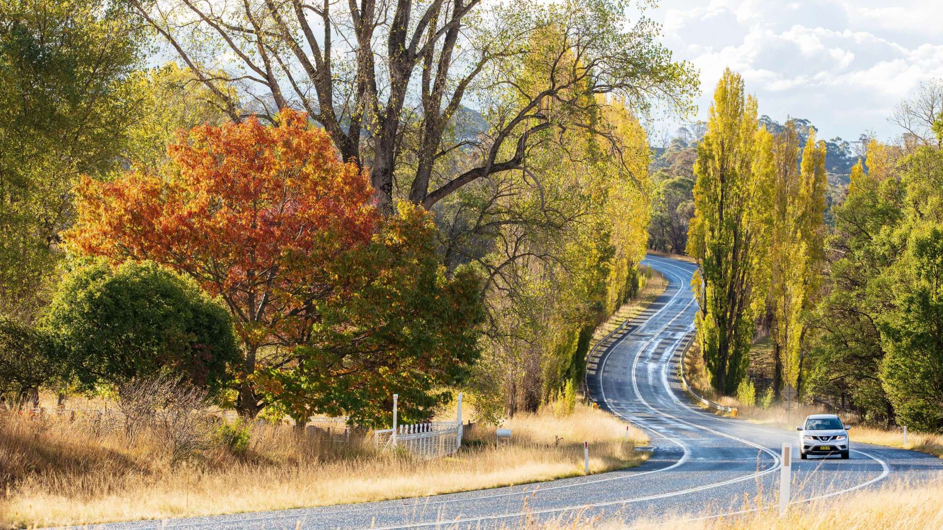 Glen Innes & Inverell