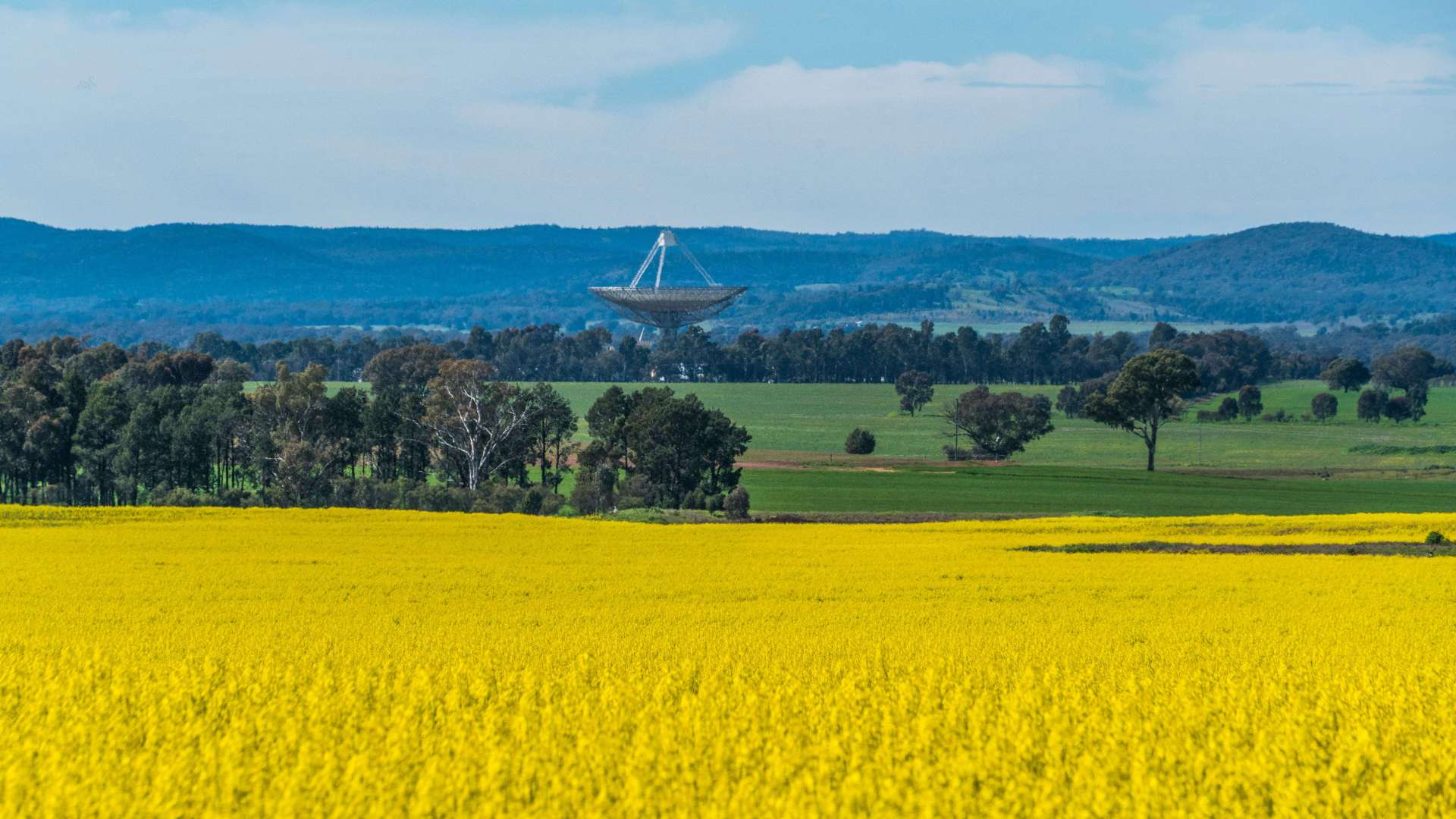 Parkes
