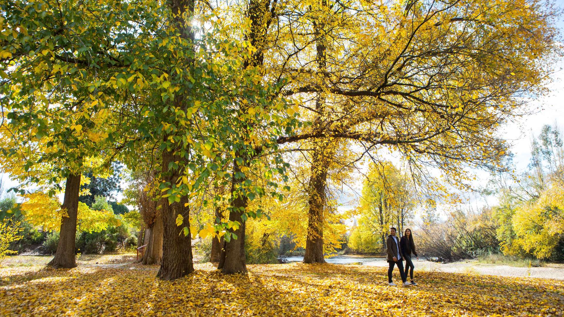 Tumut