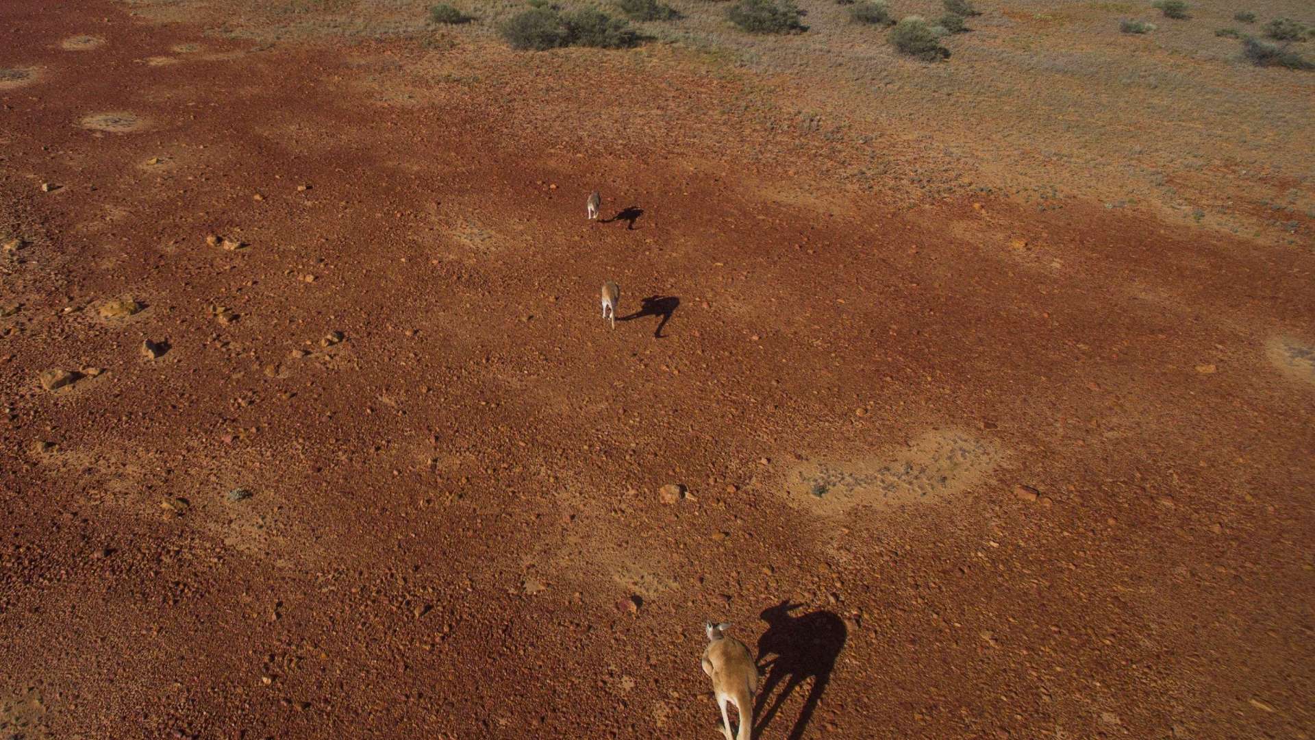 Diamantina Area