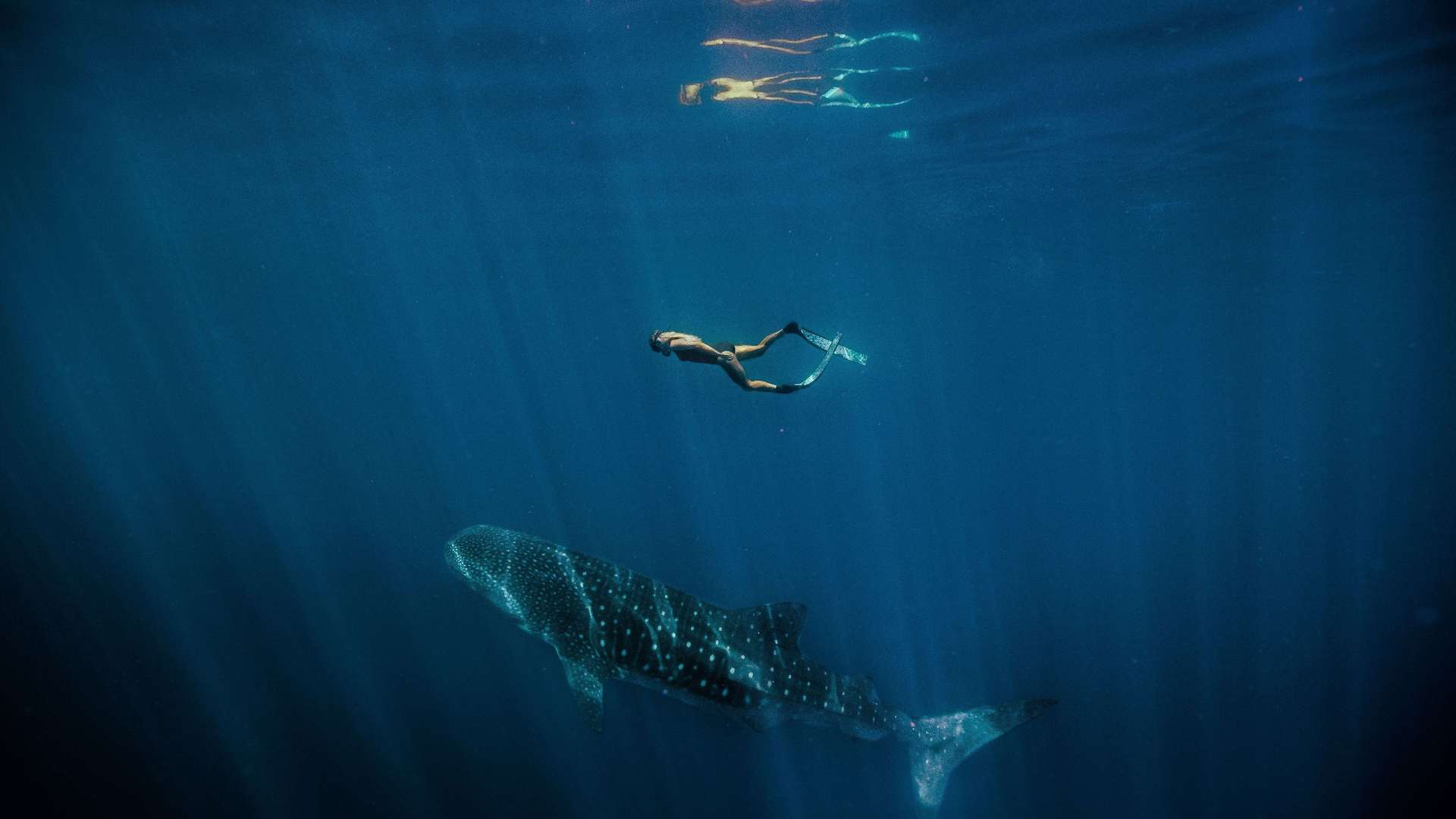Ningaloo Reef