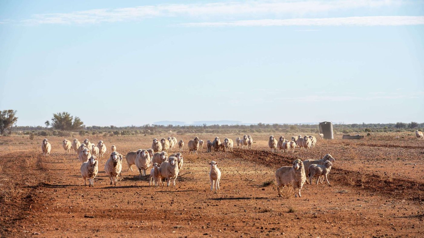 District Council of Orroroo Carrieton